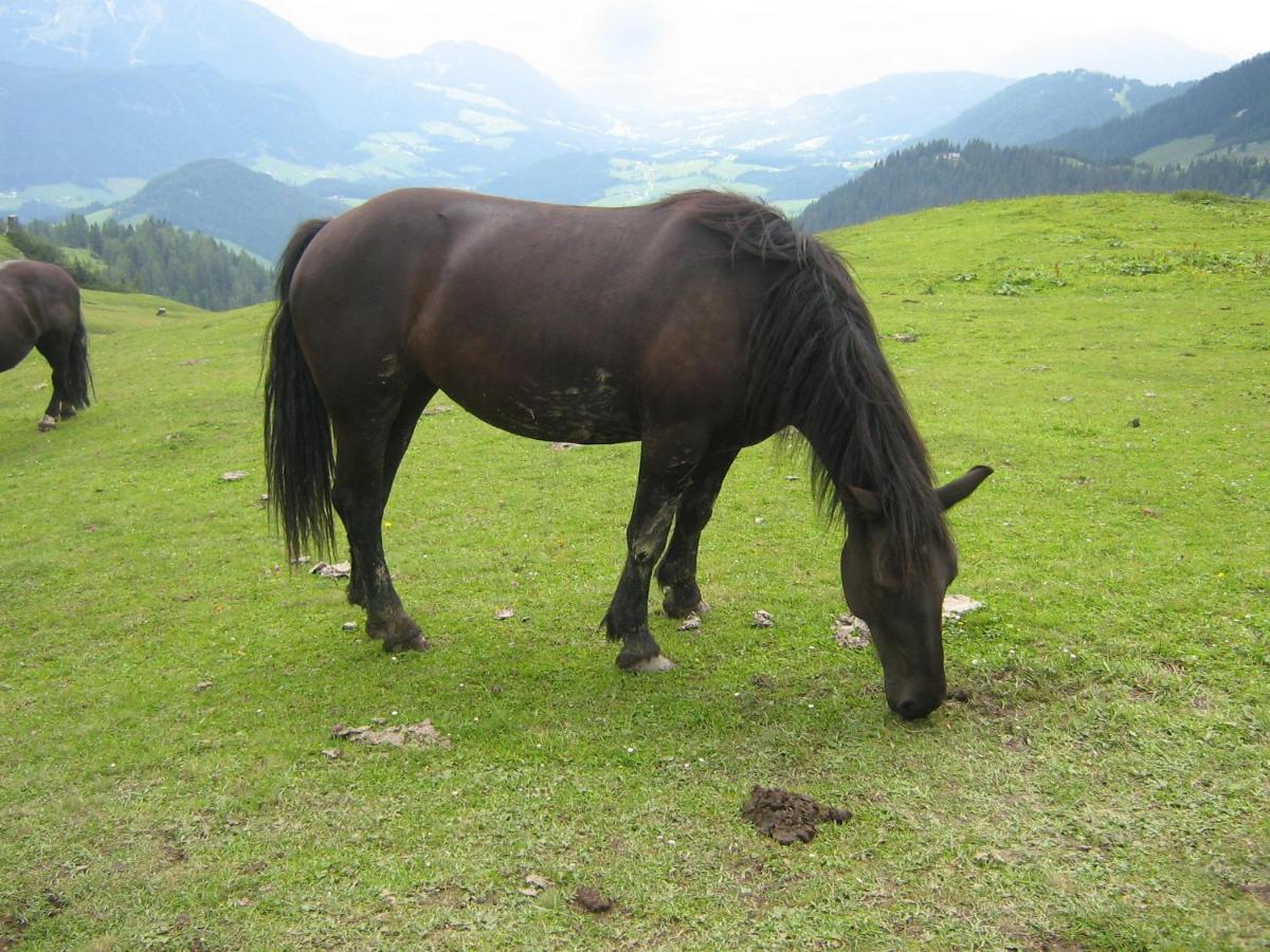 Kachelofenwohnung Poelzleitner Annaberg im Lammertal Luaran gambar