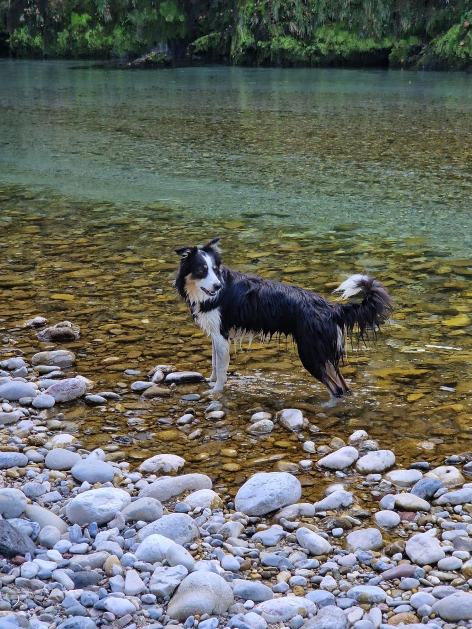Kachelofenwohnung Poelzleitner Annaberg im Lammertal Luaran gambar