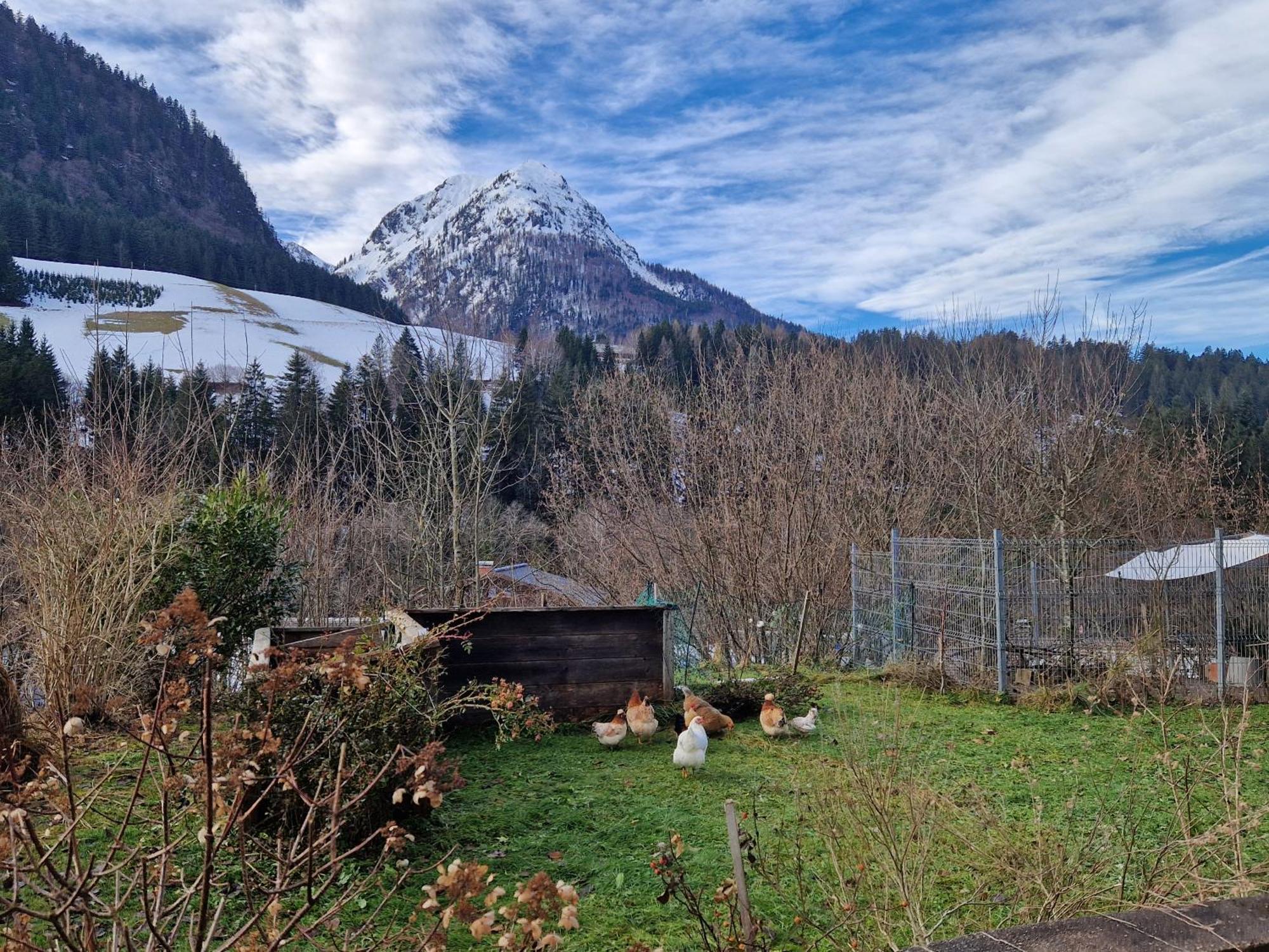 Kachelofenwohnung Poelzleitner Annaberg im Lammertal Luaran gambar