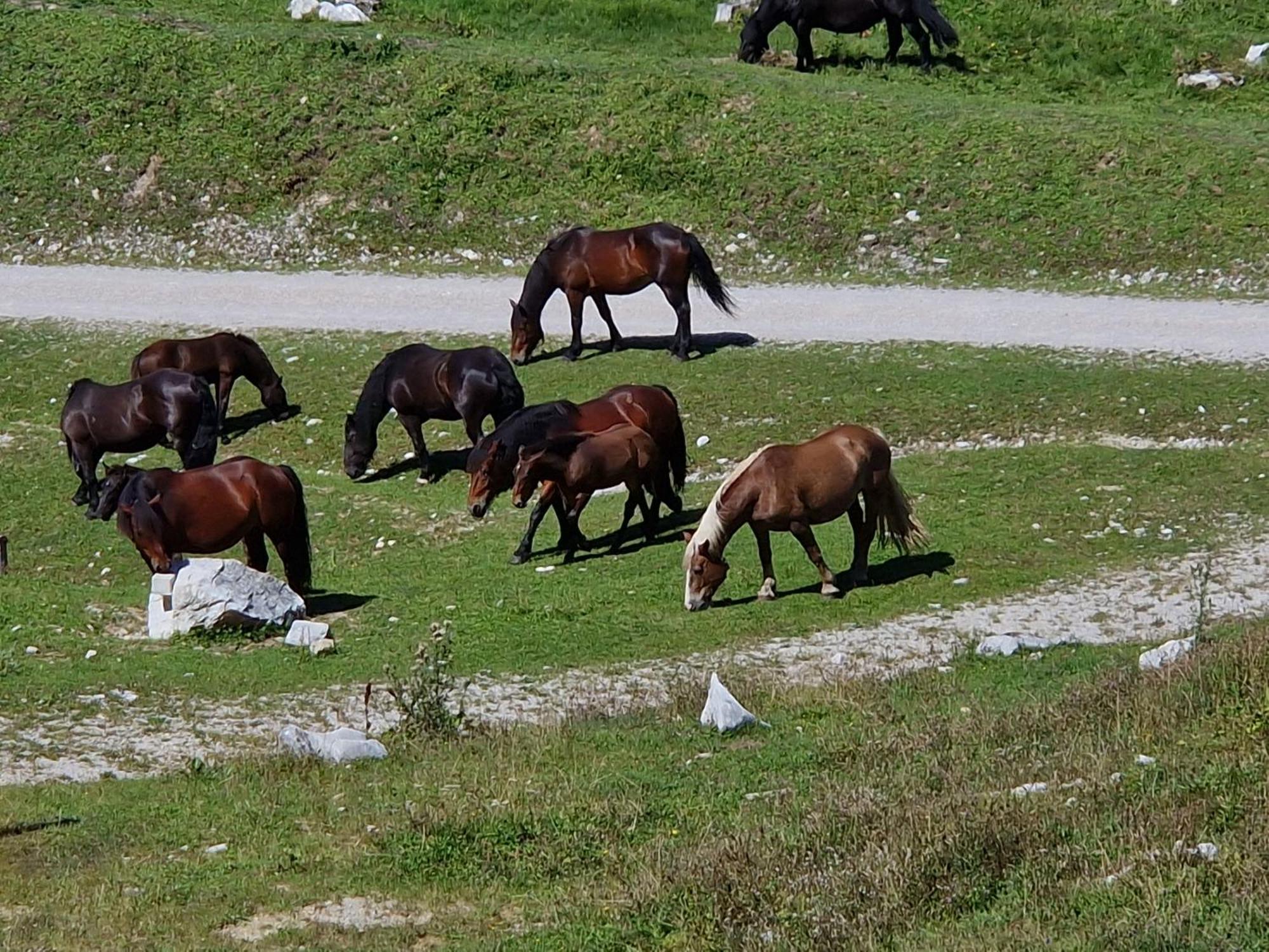 Kachelofenwohnung Poelzleitner Annaberg im Lammertal Luaran gambar