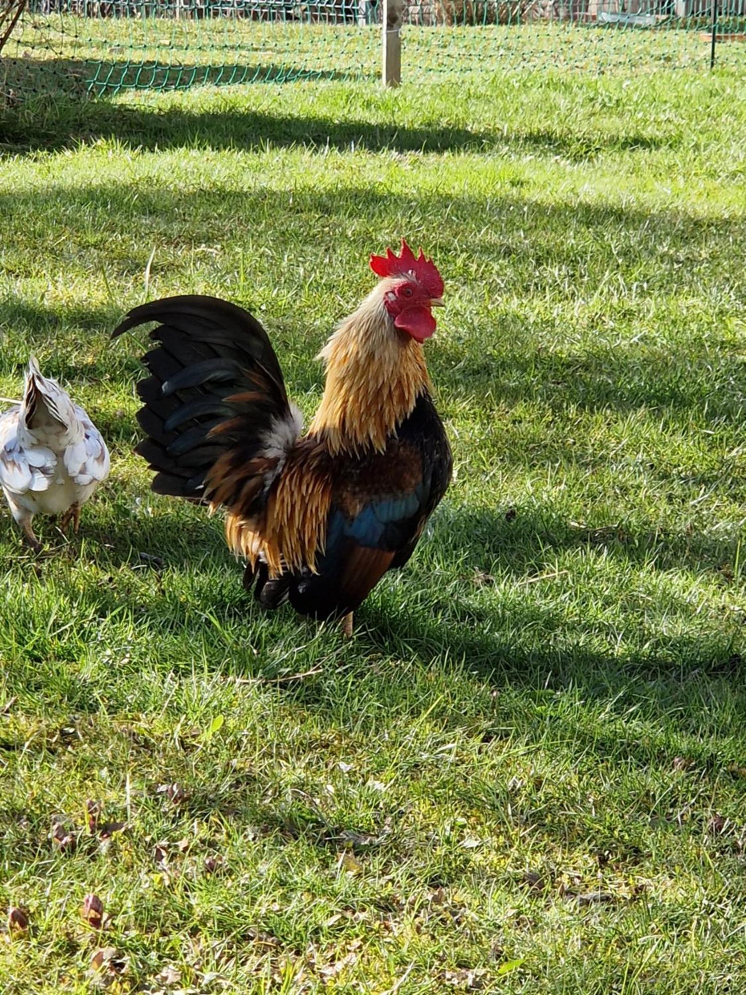 Kachelofenwohnung Poelzleitner Annaberg im Lammertal Luaran gambar