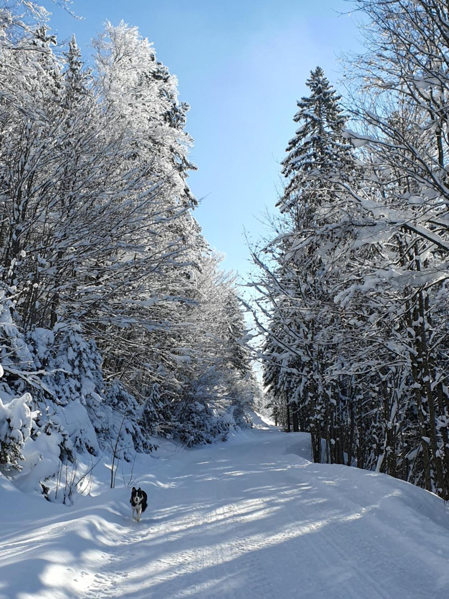 Kachelofenwohnung Poelzleitner Annaberg im Lammertal Luaran gambar